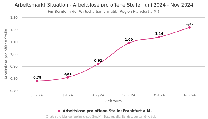 Arbeitsmarkt Situation - Arbeitslose pro offene Stelle: Juni 2024 - Nov 2024 | Für Berufe in der Wirtschaftsinformatik | Region Frankfurt a.M.