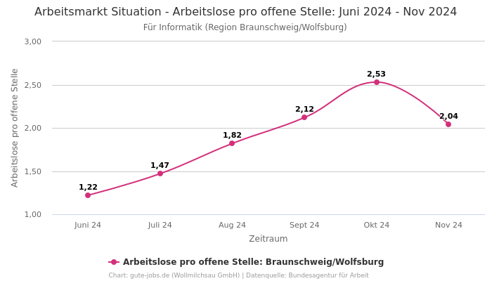 Arbeitsmarkt Situation - Arbeitslose pro offene Stelle: Juni 2024 - Nov 2024 | Für Informatik | Region Braunschweig/Wolfsburg