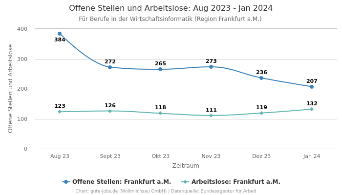 Offene Stellen und Arbeitslose: Aug 2023 - Jan 2024 | Für Berufe in der Wirtschaftsinformatik | Region Frankfurt a.M.