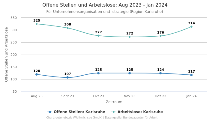 Offene Stellen und Arbeitslose: Aug 2023 - Jan 2024 | Für Unternehmensorganisation und -strategie | Region Karlsruhe