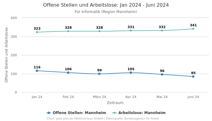 Offene Stellen und Arbeitslose: Jan 2024 - Juni 2024 | Für Informatik | Region Mannheim