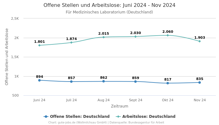 Offene Stellen und Arbeitslose: Juni 2024 - Nov 2024 | Für Medizinisches Laboratorium | Bundesland Deutschland