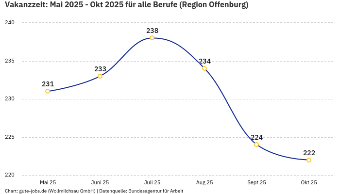 Vakanzzeit: Mai 2025 - Okt 2025 | Für alle Berufe | Region Offenburg