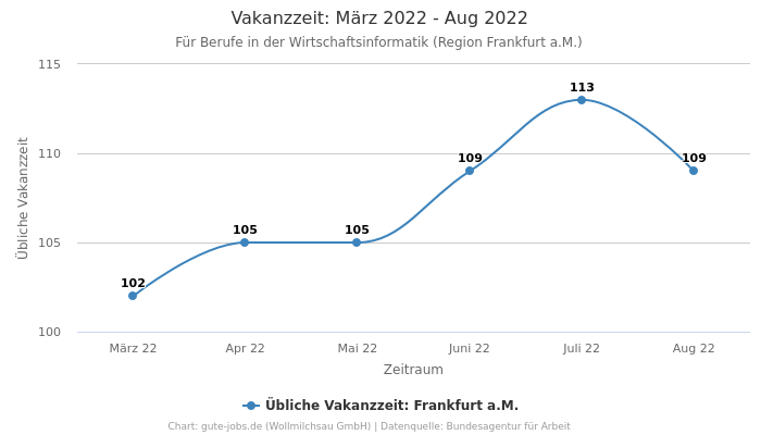 Vakanzzeit: März 2022 - Aug 2022 | Für Berufe in der Wirtschaftsinformatik | Region Frankfurt a.M.